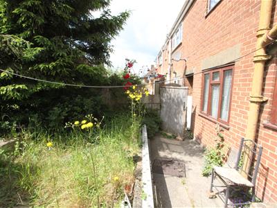 Picture 14